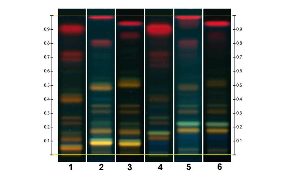 Chromatograms of Monteverdia ilicifolia and Monteverdia aquifolia in the ADC 2 (tracks 1 and 4 respectively), and the HPTLC PRO System with no preconditioning or conditioning (tracks 2 and 5) and with conditioning at a pump power of 25% from 50 to 70 mm developing distance (tracks 3 and 6).