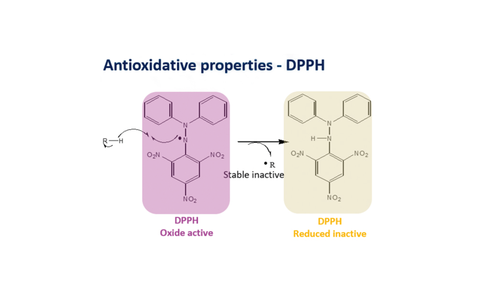 Figure 1: Antioxidative properties - DPPH