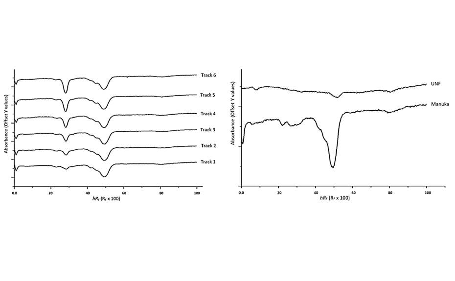 (left) PPI of a Manuka extract (5.0 μL) over-spotted with 2.0–7.0 μL of gallic acid (RF = 0.29 ≙ hRF = 29); (right) PPI of Manuka extract (5.0 μL) and UNF (10.0 μL)