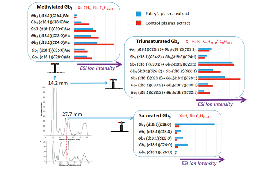 Fabry’s Gb3-related biomarkers and semi-quantitative ion abundance in Fabry (blue) and control (red) plasma extracts