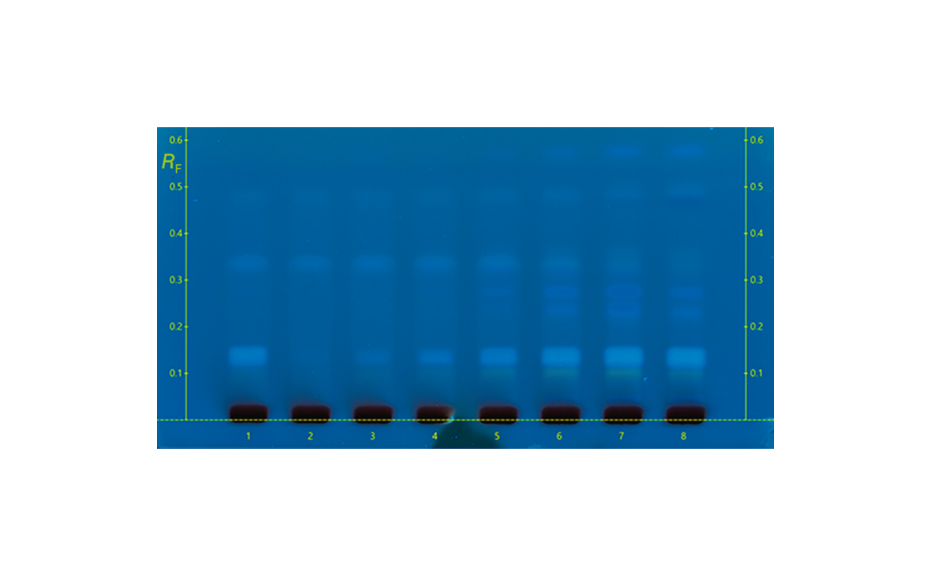 HPTLC chromatograms in UV 366 nm after both derivatizations (ROI until RF 0.6)
