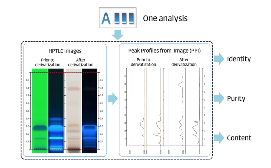 Figure 2: The combination of HPTLC images and peak profiles from images allows testing for identity, purity, and content in a single analysis.