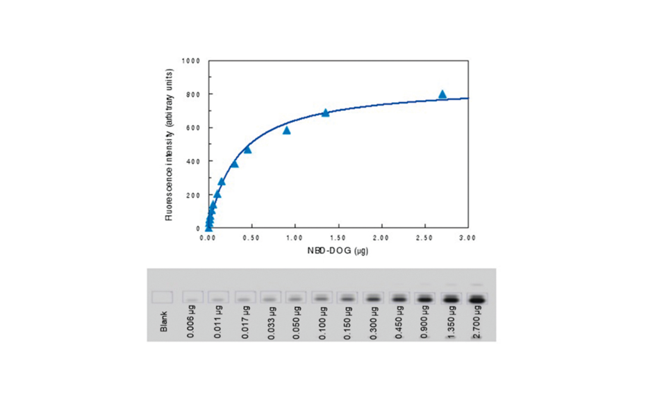 Figure 2: Calibration curve of NBD-DOG (scanned at 473 nm in fluorescence mode) depicting the dependence of the intensity of the fluorescence of NBD-DOG (top) as function of the amount separated on HPTLC plate (bottom)