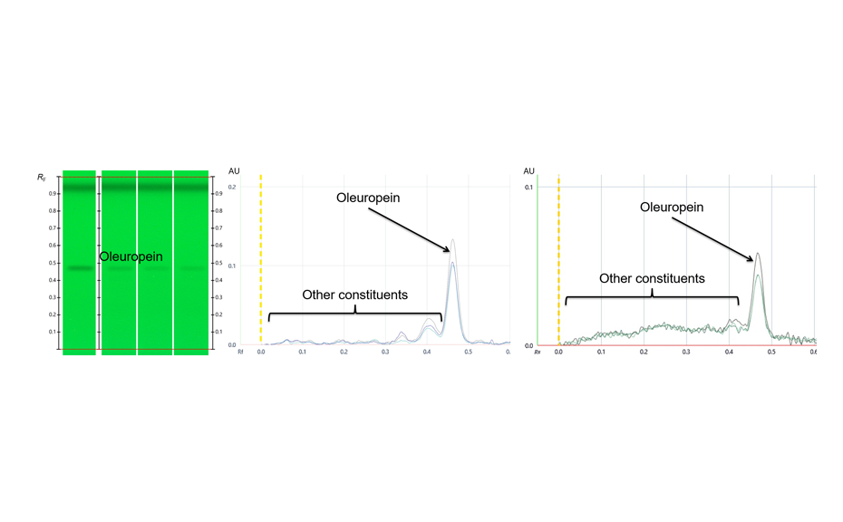 Figure 4: Oleuropein and olive leaf extracts; image of tracks in UV 254 (left); Peak Profiles from Scanning Densitometry at 280 nm (middle); Peak Profiles from Image at 254 nm (right)