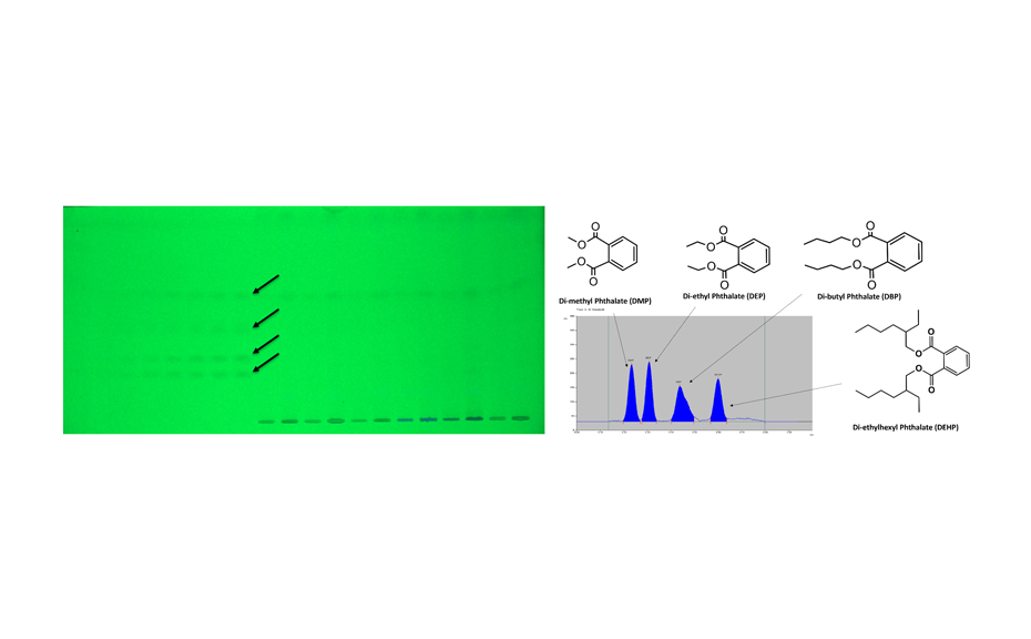 HPTLC chromatogram in UV 254 nm (left) and densitogram measured at 240 nm (right)
