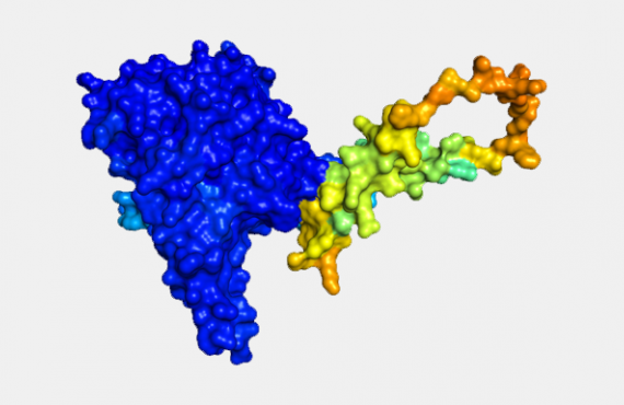 3D view of diacylglycerid-o-acyltransferase 2